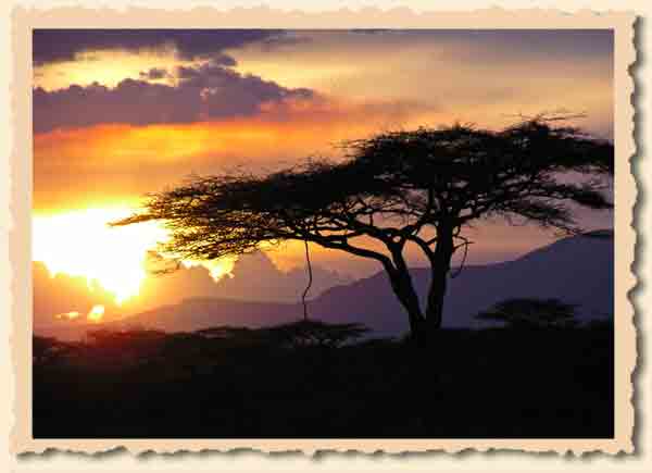 Kenia Safari im Hochland mit The Safari Collection