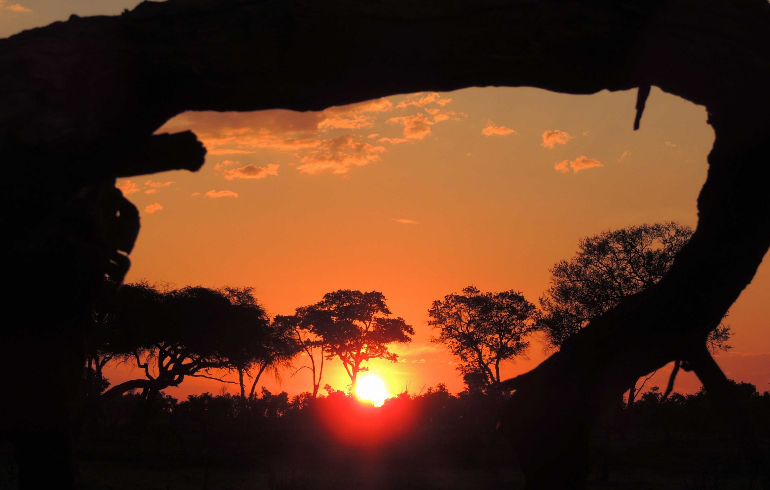Safari im Mana Pools Nationalpark in Simbabwe mit Machaba Safaris und dem neuen Ingwe Pan Camp