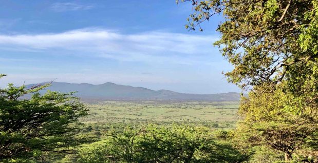 Tansania Safari ohne PCR Test für Geimpfte Safari Gäste – reisen Sie mit der Gnuwanderung durch die Serengeti