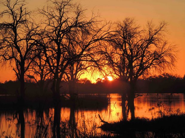 Botswana Flugsafari ins Okavango Delta