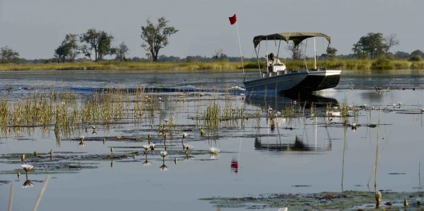 Erleben Sie unvergessliche Safari Abenteuer in Botswana – Ein Paradies für Tierliebhaber