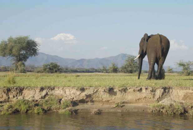 Sambia Safari – unberührte Natur