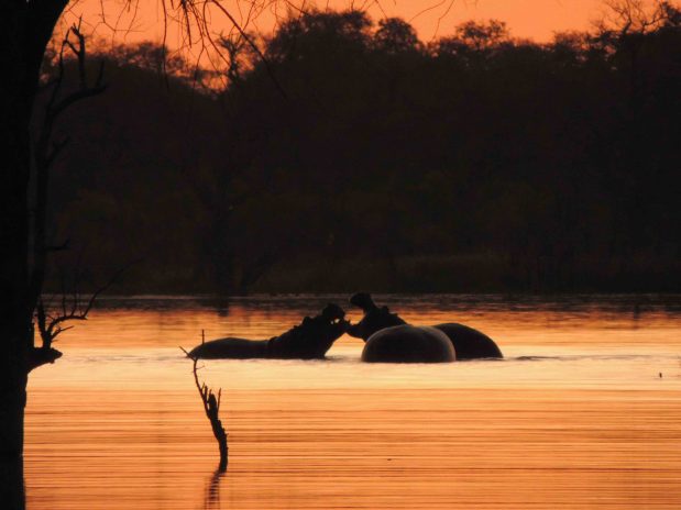 Botswana Reisen – Luxus Safaris