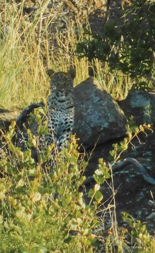 Beste Reisezeit südliches Afrika Beste Reisezeit südliches Afrika