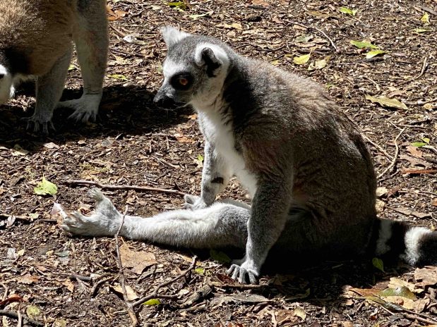 Madagaskar Rundreise