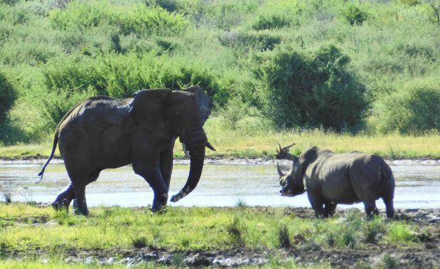 Südafrika beste Reisezeit