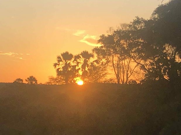 Der verantwortungsvolle Tourismus auf Safari