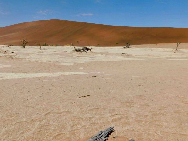 Last-Minute-Safaris Namibia vs. Südafrika