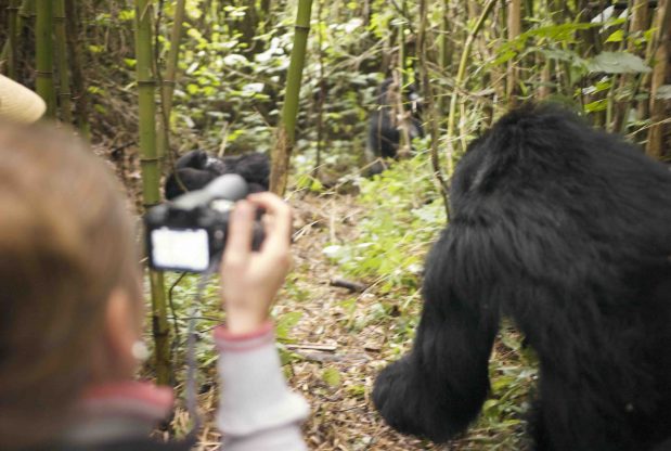 Safari Naturschutz am Tag der gefährdeten Arten