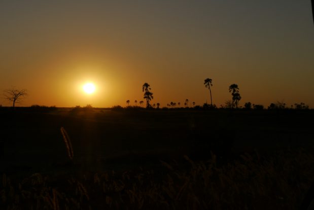 Schlafen unter freiem Himmel – Botswana Safari