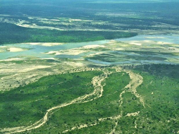Safari Südtansania – Mikumi, Nyere & Ruaha Nationpark