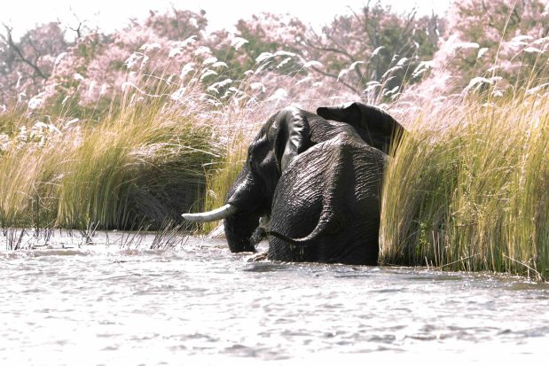 Botswana Kleingruppenreise